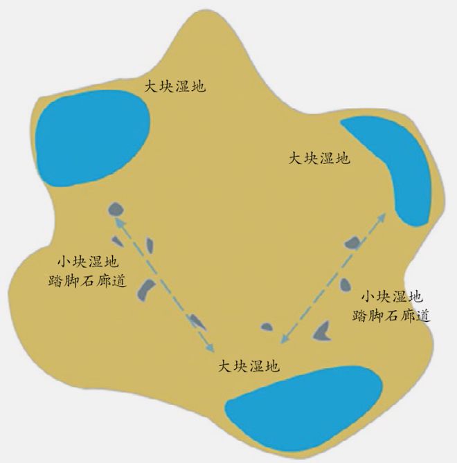 小微湿地：家门口的生态“百宝箱”emc易贝体育登录(图2)