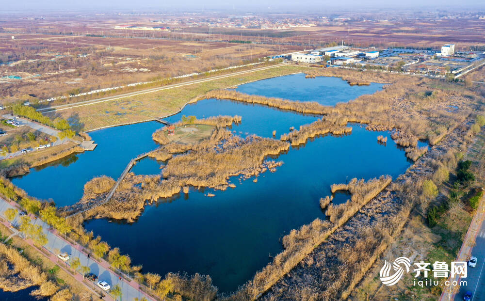 emc易倍污水处理厂尾水这样净化 夏津建人工湿地充当“城市净水器”(图4)