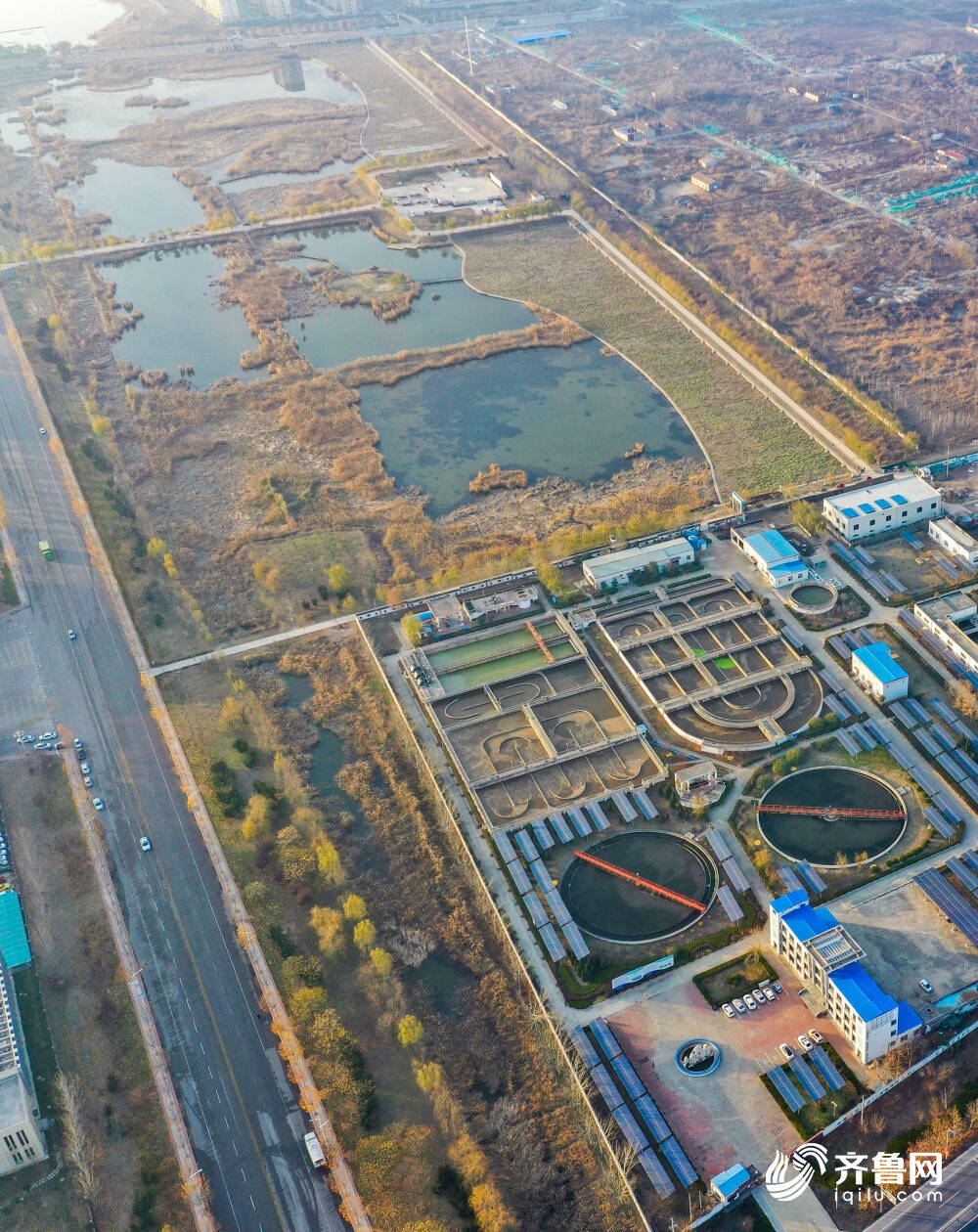 emc易倍污水处理厂尾水这样净化 夏津建人工湿地充当“城市净水器”(图3)