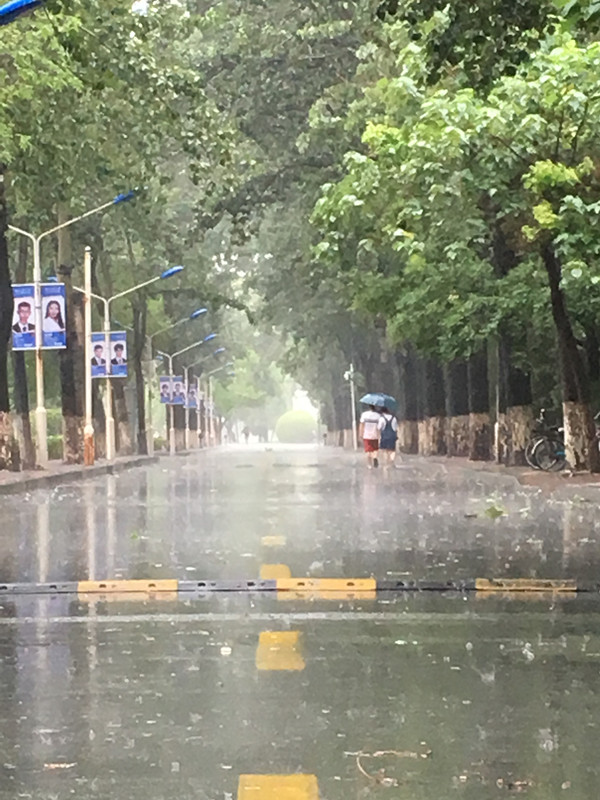 emc易贝体育登录天津大学建设“海绵校园” 构筑生态雨洪管理系统(图5)